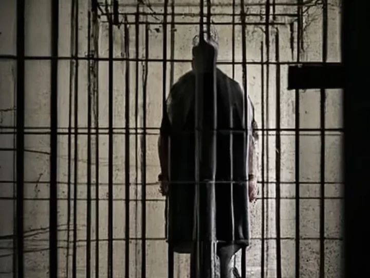 АМНИСТИЯ В БЕЛАРУСИ