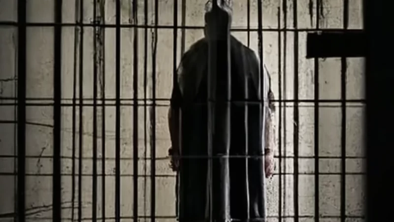 АМНИСТИЯ В БЕЛАРУСИ