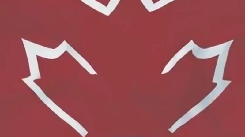 ПАДЕНИЕ УРОВНЯ ЖИЗНИ В КАНАДЕ