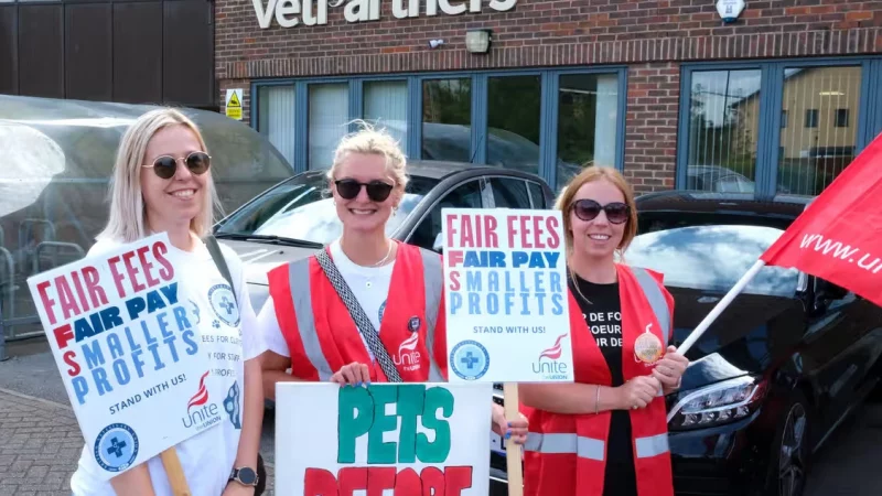 Британские ветеринары вышли на забастовку