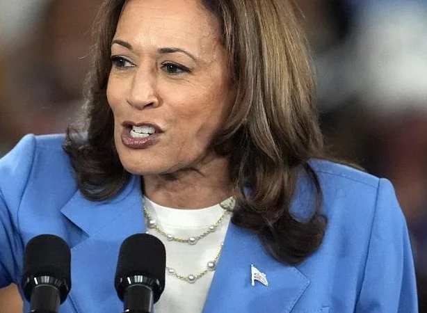 О предвыборной программе вице-президента Камалы Харрис
