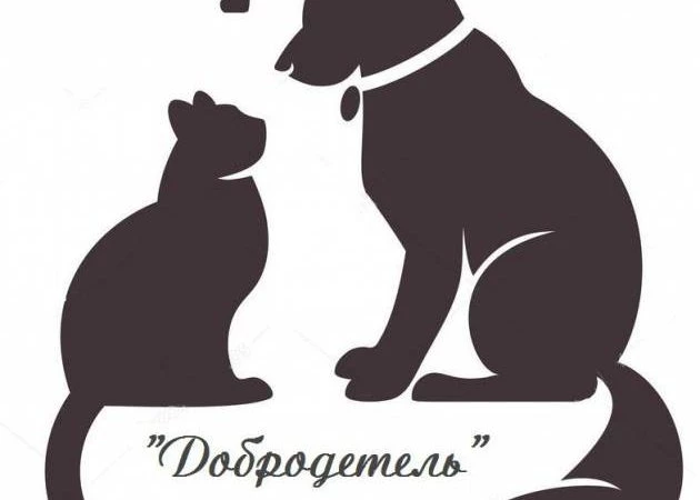 Бобруйский приют для бездомных животных просит о помощи