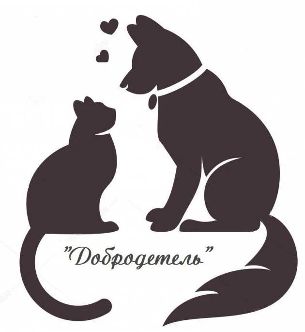 Бобруйский приют для бездомных животных просит о помощи Бобруйский приют для бездомных животных просит о помощи