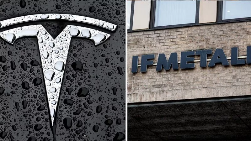 Шведский профсоюз IF Metall подал иск против Tesla