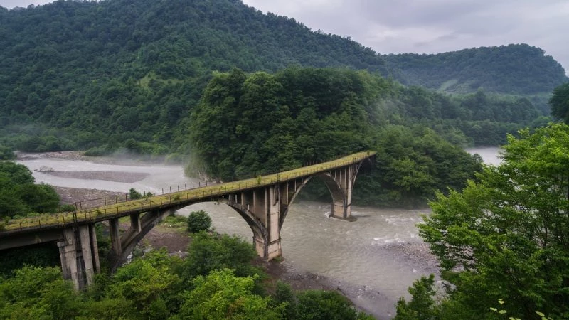 Беспорядки в Абхазии