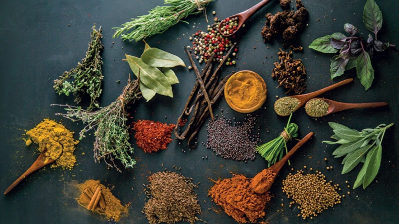 Травы и специи для здорового праздничного питания
