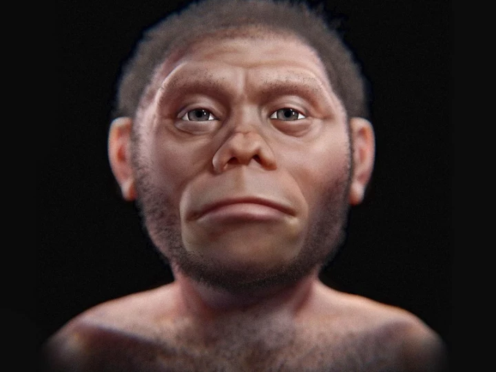 Родословная человечества пополнилась видом Homo juluensis