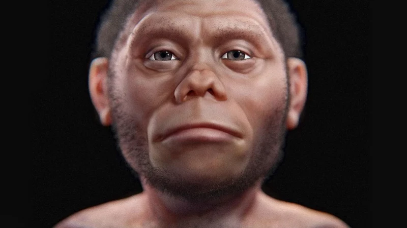 Родословная человечества пополнилась видом Homo juluensis