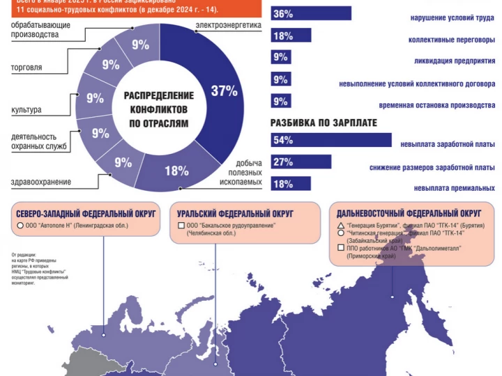 Итоги социально-трудовых конфликтов в России за 2024 год