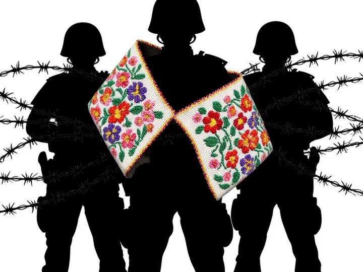 Ситуация с правами человека в Беларуси: Системный кризис или успешная государственная политика?